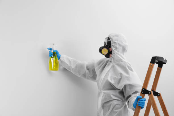 Dunean, SC Mold Removal Services Company